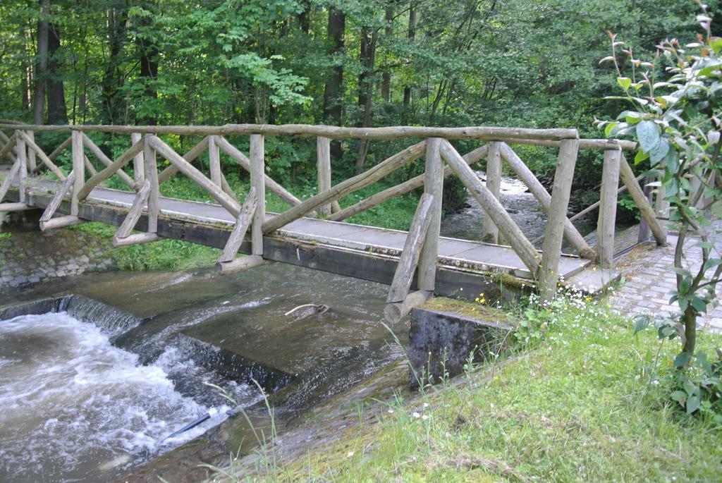 Ferienwohnungen Treseburg "Zur Bodehexe" Тале Екстериор снимка